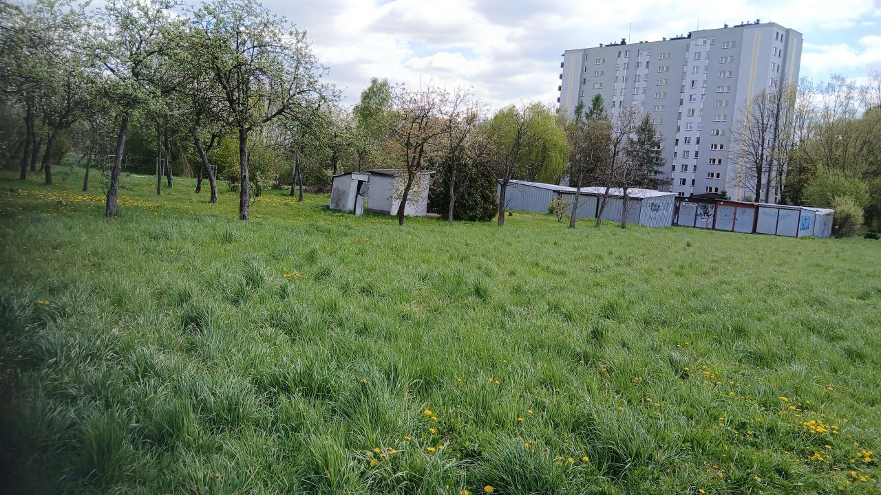Działka rolna Tarnów Grabówka, Monte Cassino Tarnów Marynki Wojennej. Zdjęcie 5