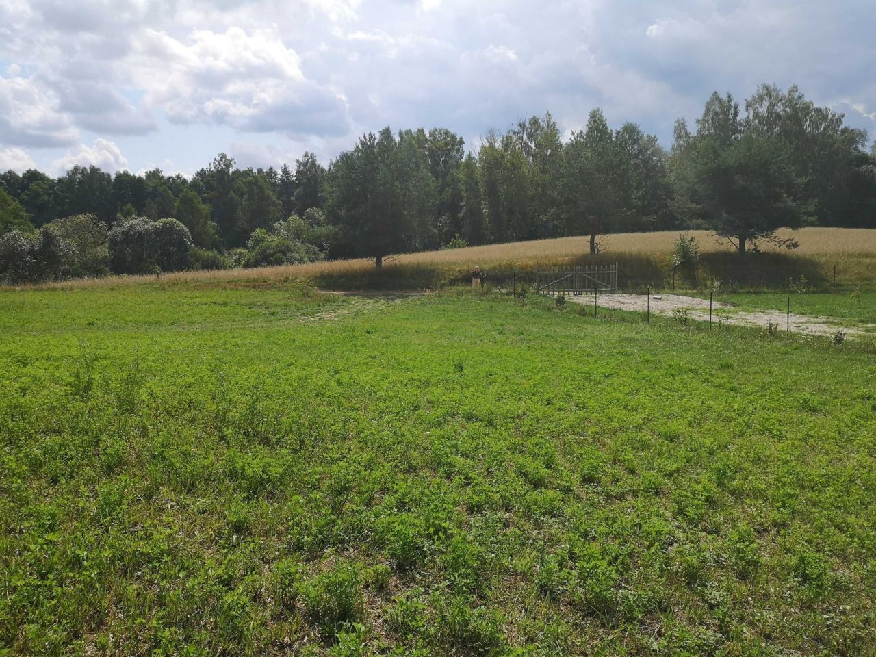 Działka rekreacyjna Dunajek. Zdjęcie 3