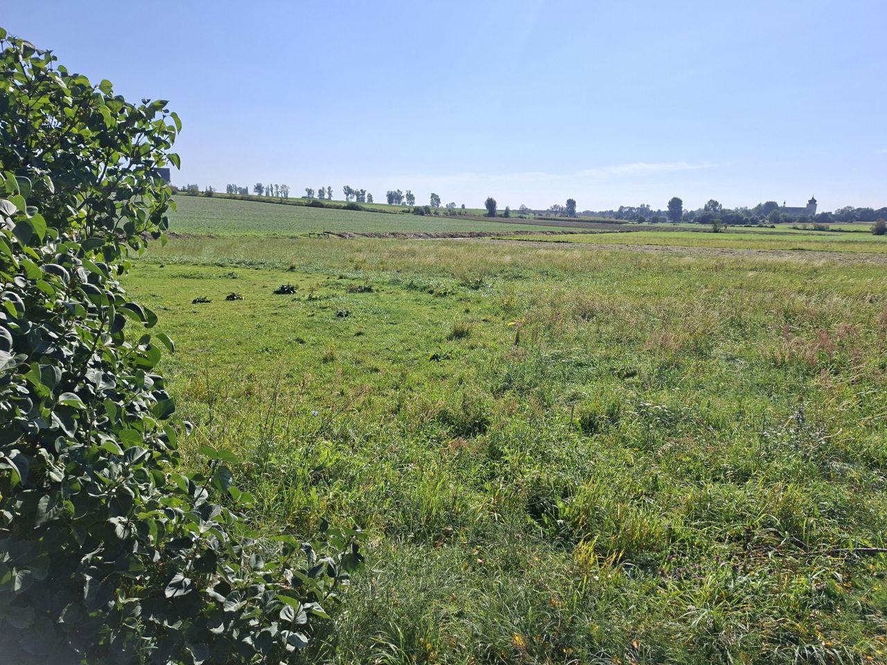 Działka budowlana Skoków. Zdjęcie 4