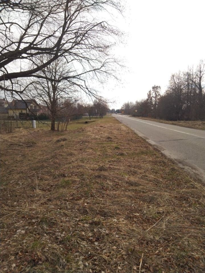 Działka rolno-budowlana Wincentów. Zdjęcie 2