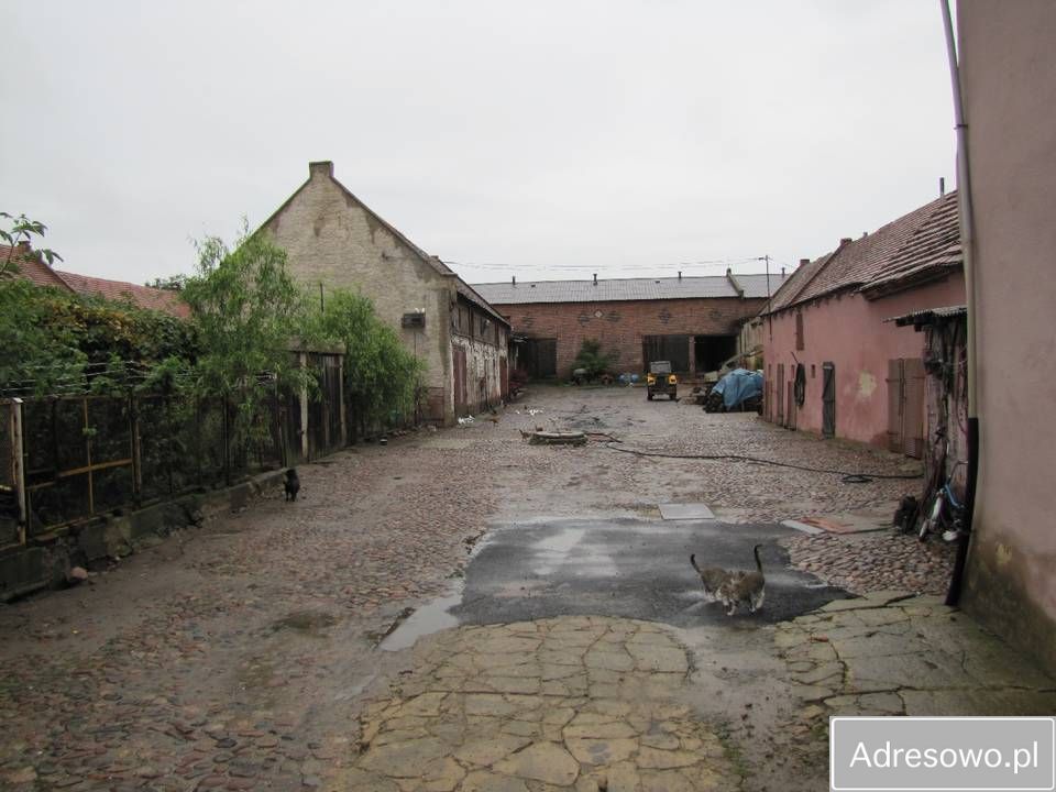 gospodarstwo, 8 pokoi Grębocice, ul. Kościelna. Zdjęcie 3