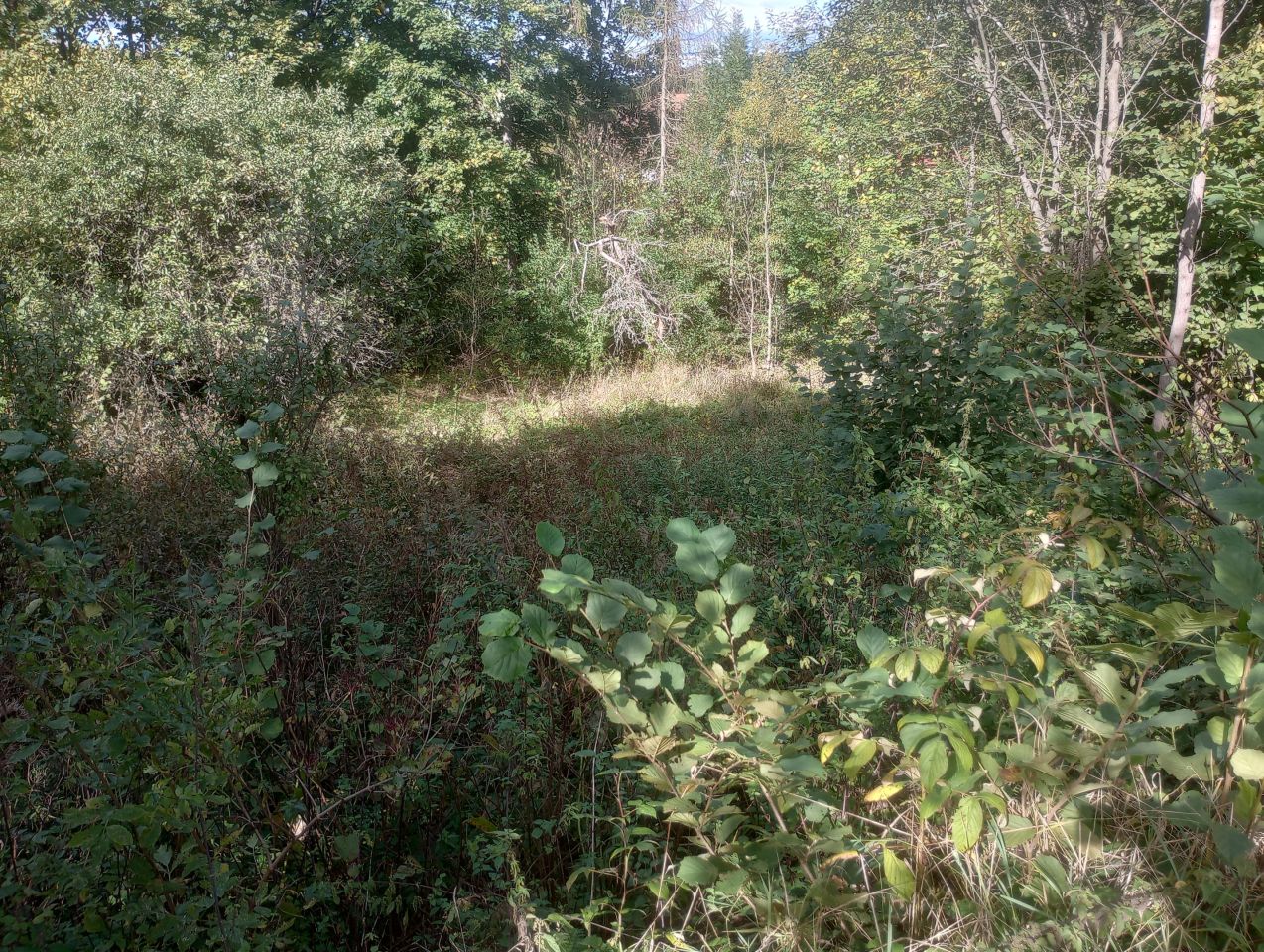 Działka rolno-budowlana Tylmanowa Ziemianki, os. Ziemianki. Zdjęcie 9