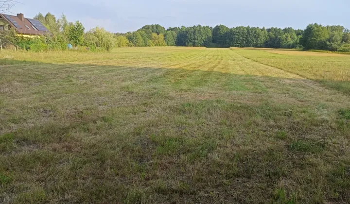 Działka rolna Żychlin, ul. Leśna