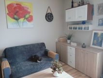 Mieszkanie 1-pokojowe Łódź Koziny, ul. Srebrzyńska. Zdjęcie 4