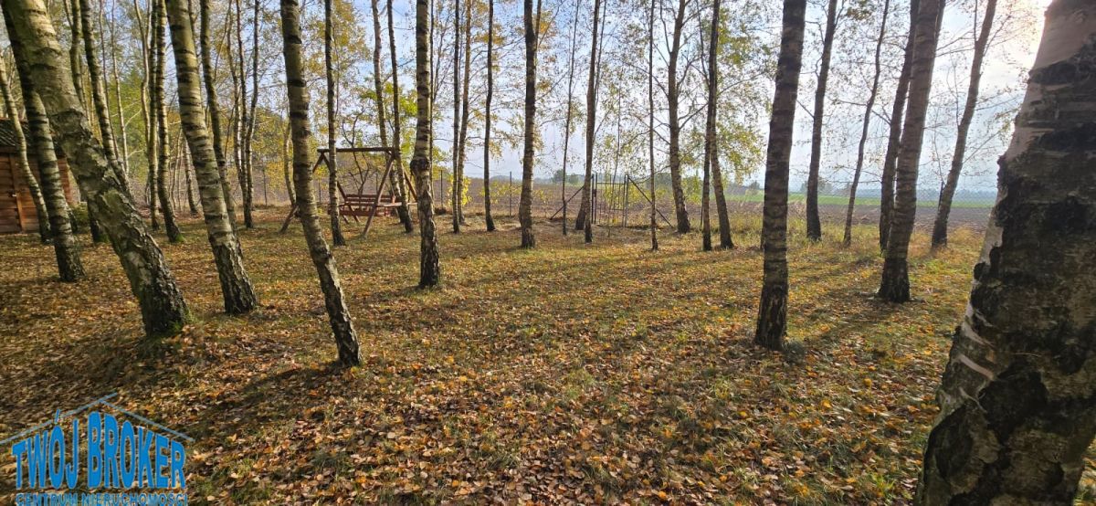 siedlisko, 2 pokoje Tągowie. Zdjęcie 10