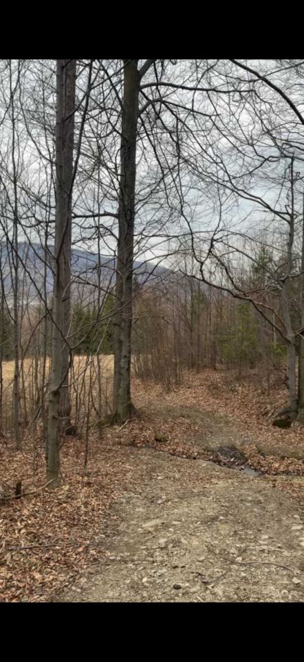 Działka rolna Szczyrk. Zdjęcie 5