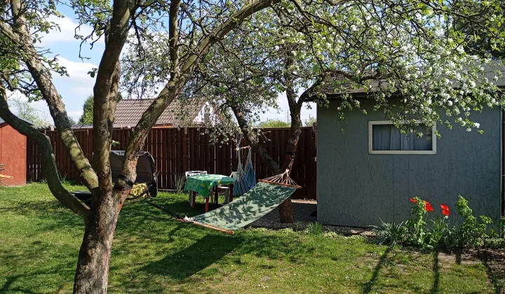 Działka rod Opalenica, ul. Półwiejska