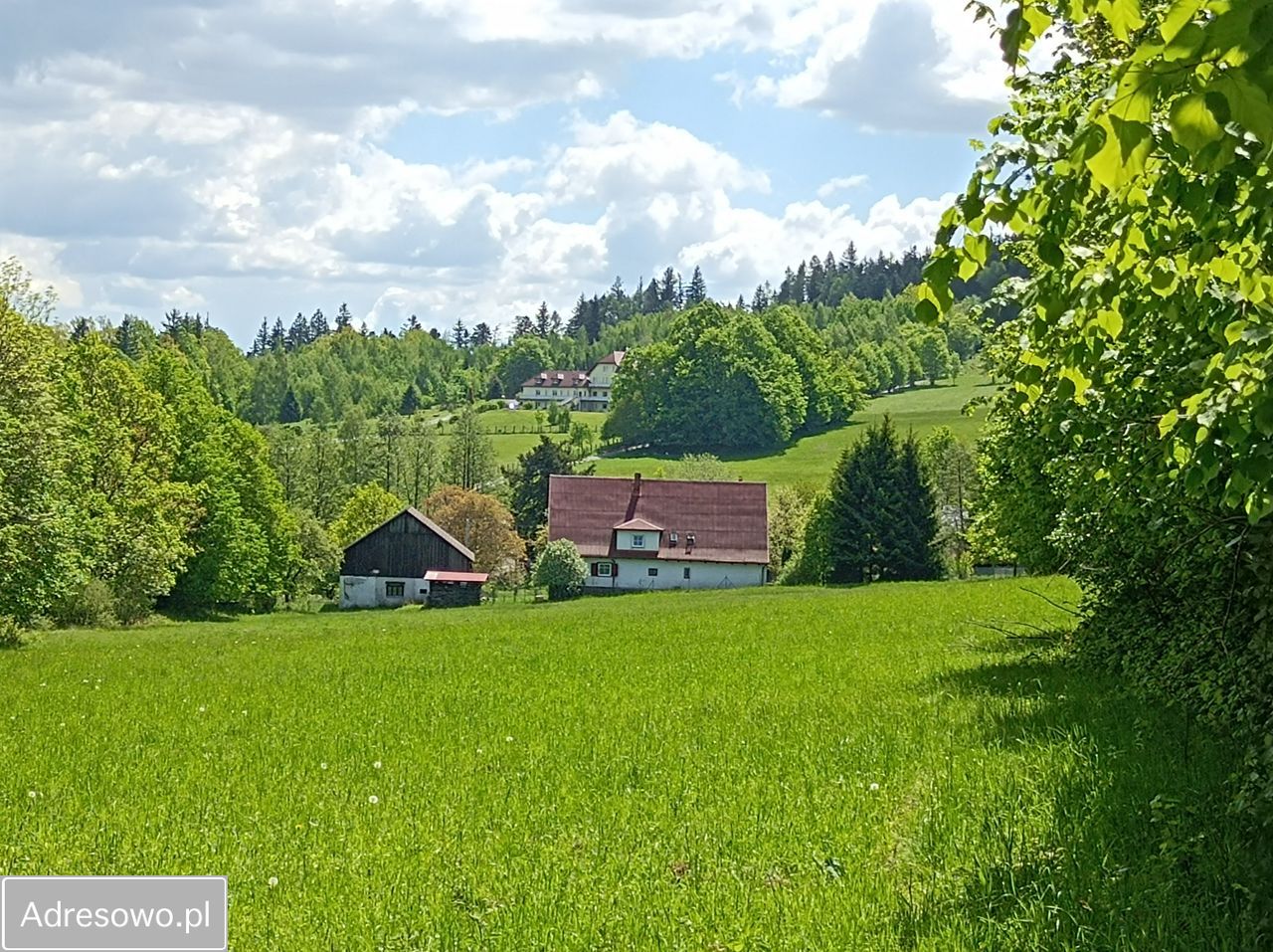 gospodarstwo, 10 pokoi Paszków. Zdjęcie 6