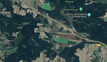 Działka rolno-budowlana Zimna Brzeźnica Wilczyce