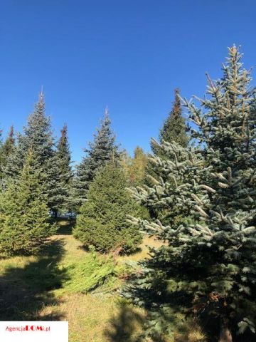 Działka budowlana Marynin. Zdjęcie 7