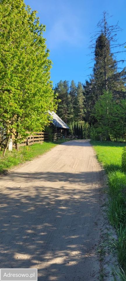 Działka rolno-budowlana Góry Lubiańskie. Zdjęcie 7