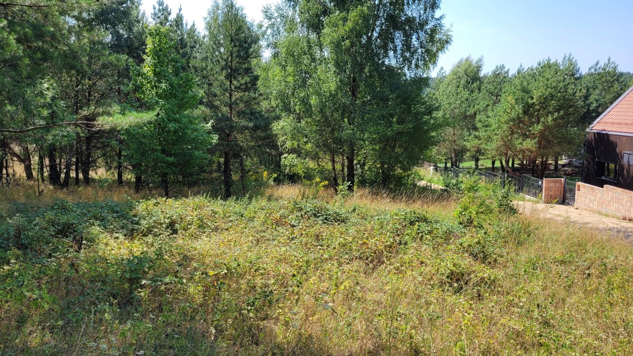 Działka budowlana Cierzpięty. Zdjęcie 11