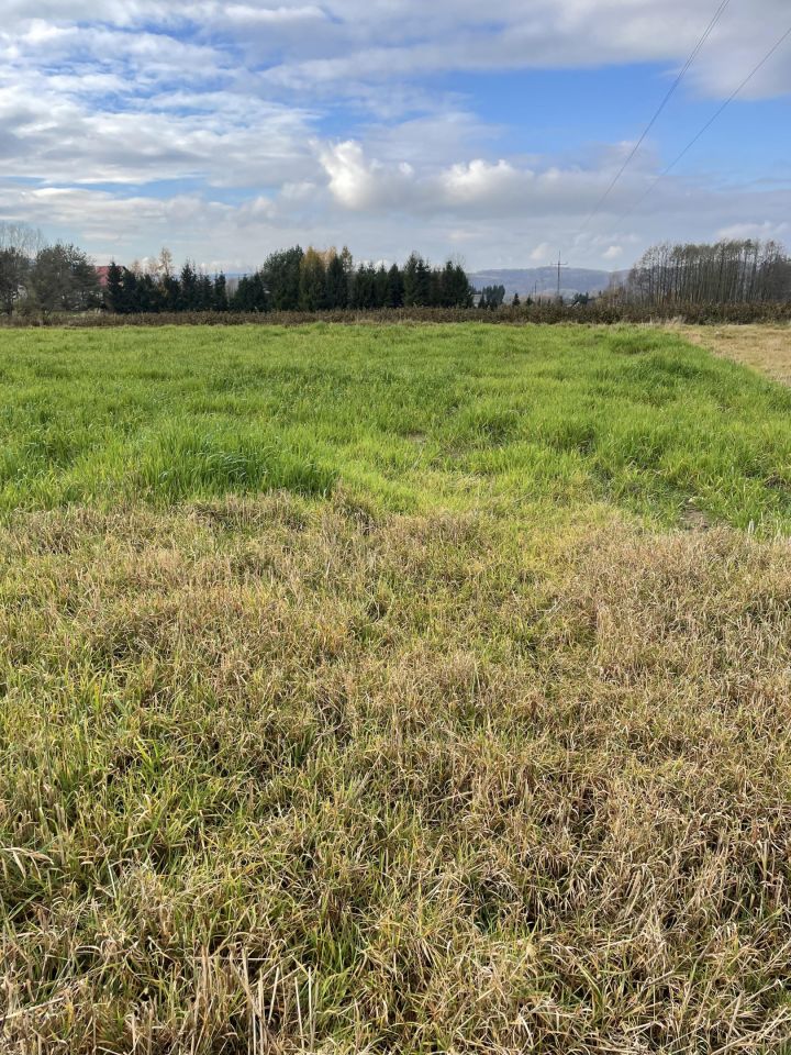 Działka budowlana Klecie Poręby. Zdjęcie 2