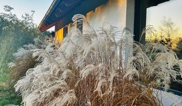 dom, 3 pokoje Przyborów