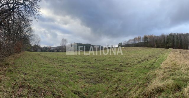 Działka rolna Paraszyno. Zdjęcie 10