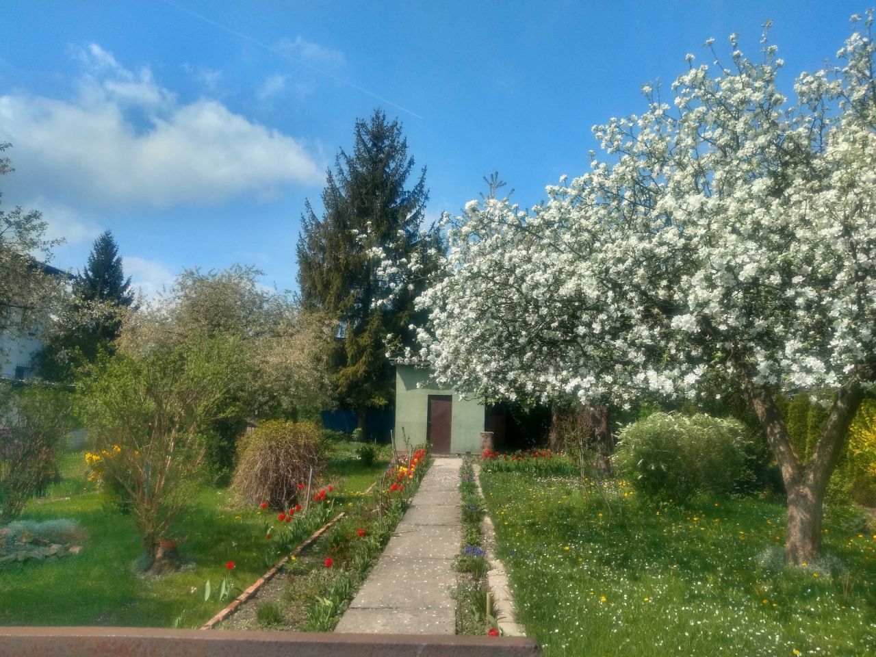 Działka rod Sosnowiec. Zdjęcie 7