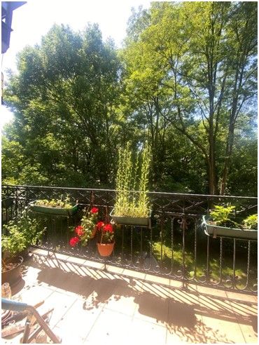 Mieszkanie 3-pokojowe Brzeg Centrum, ul. Bolesława Chrobrego