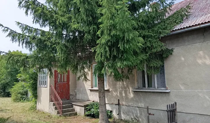 gospodarstwo, 3 pokoje Piasek, ul. Żurawska