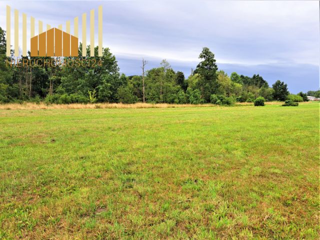 Działka rolna Mrozy. Zdjęcie 2