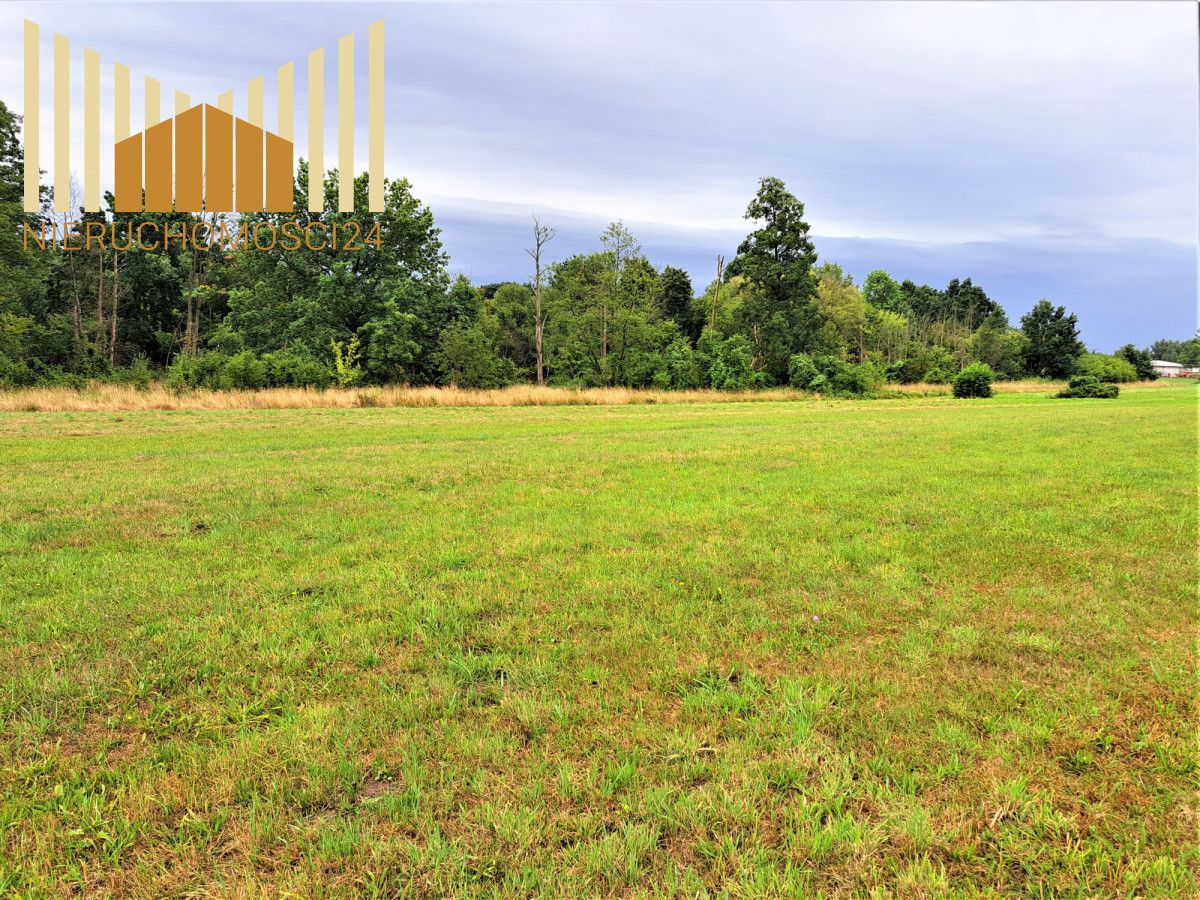 Działka rolna Mrozy. Zdjęcie 2