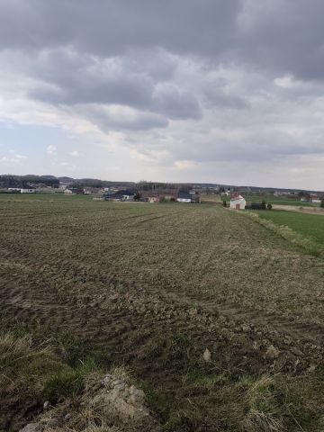 Działka budowlana Jasieniec Iłżecki Dolny. Zdjęcie 1