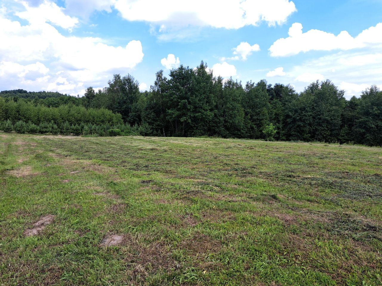 Działka rolno-budowlana Kolonia Gorzków. Zdjęcie 4