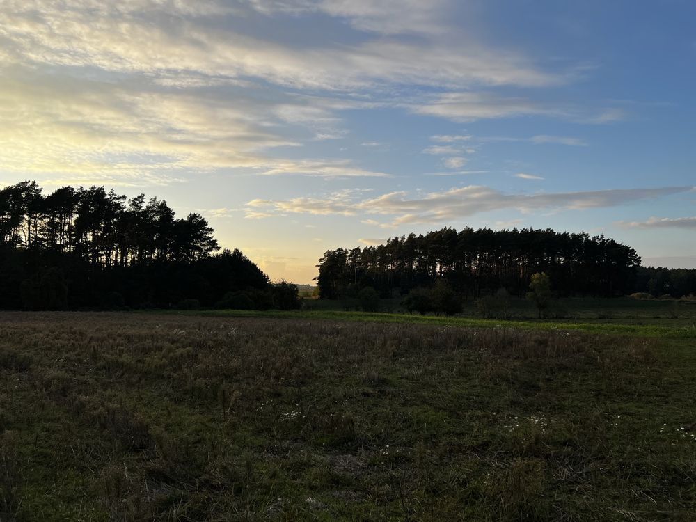 Działka budowlana Dąbrowa. Zdjęcie 8