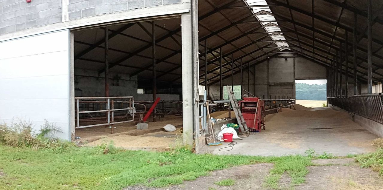 Hala/magazyn Glinno. Zdjęcie 4