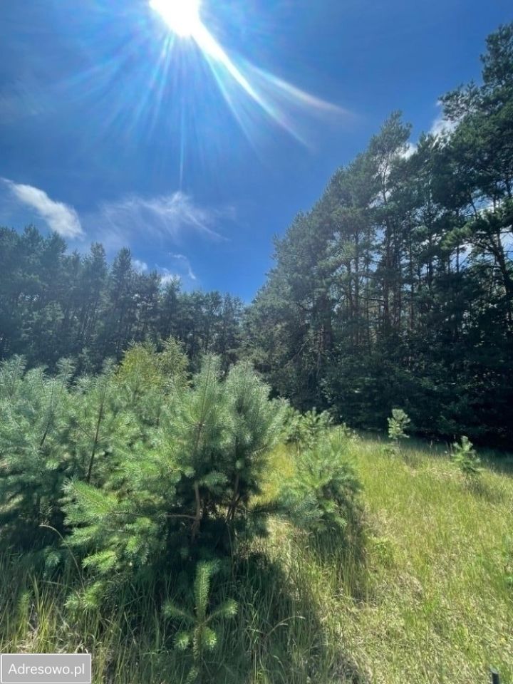 Działka budowlana Prądki, ul. Kozacka. Zdjęcie 4