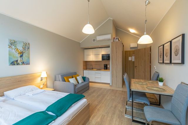 Mieszkanie 1-pokojowe Szklarska Poręba Szklarska Poręba Górna, ul. Górna. Zdjęcie 1