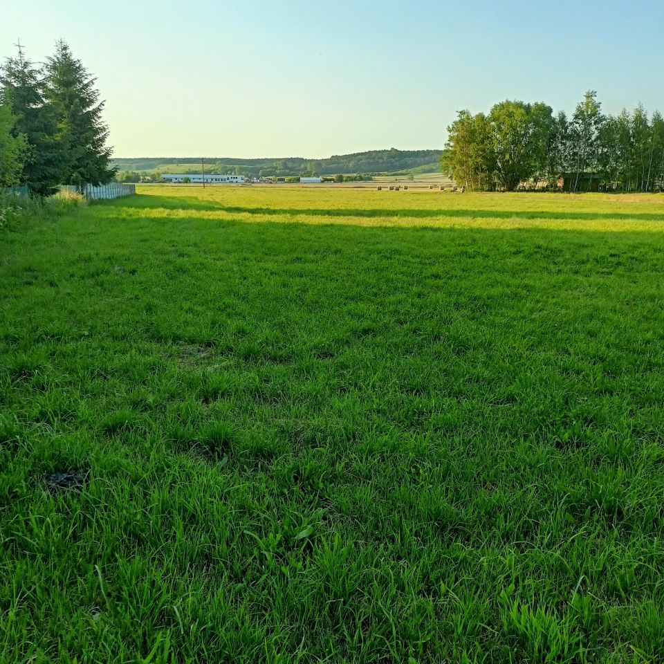 Działka rolno-budowlana Pasturka Krzywda. Zdjęcie 2