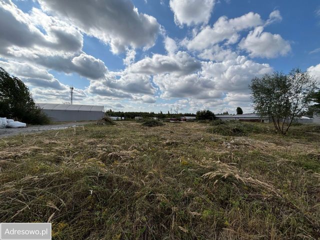 Działka inwestycyjna Dąbrowa Górnicza Gołonóg, ul. Marcina Kasprzaka. Zdjęcie 1