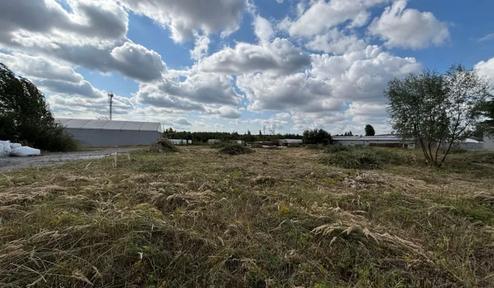 Działka inwestycyjna Dąbrowa Górnicza Gołonóg, ul. Marcina Kasprzaka