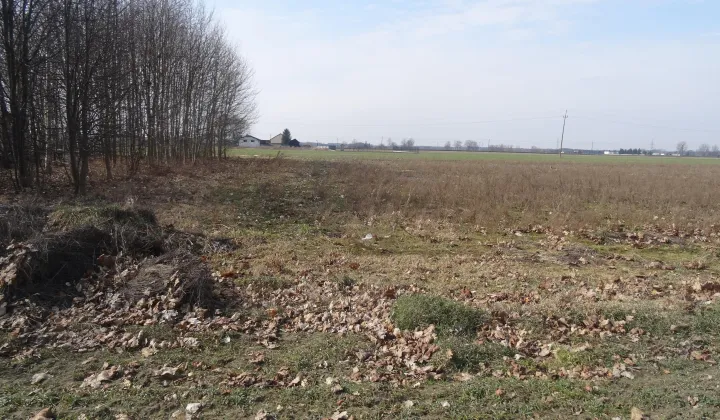 Działka budowlana Zduny Zduny-Parcele