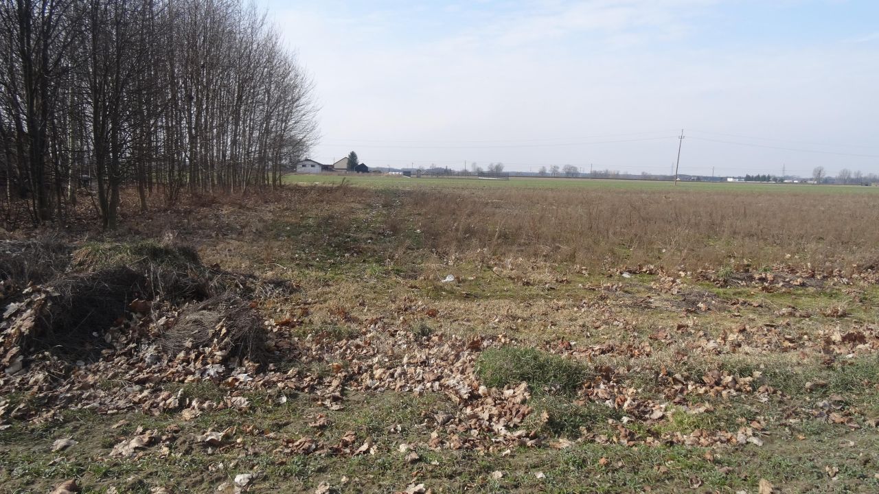 Działka budowlana Zduny Zduny-Parcele. Zdjęcie 1