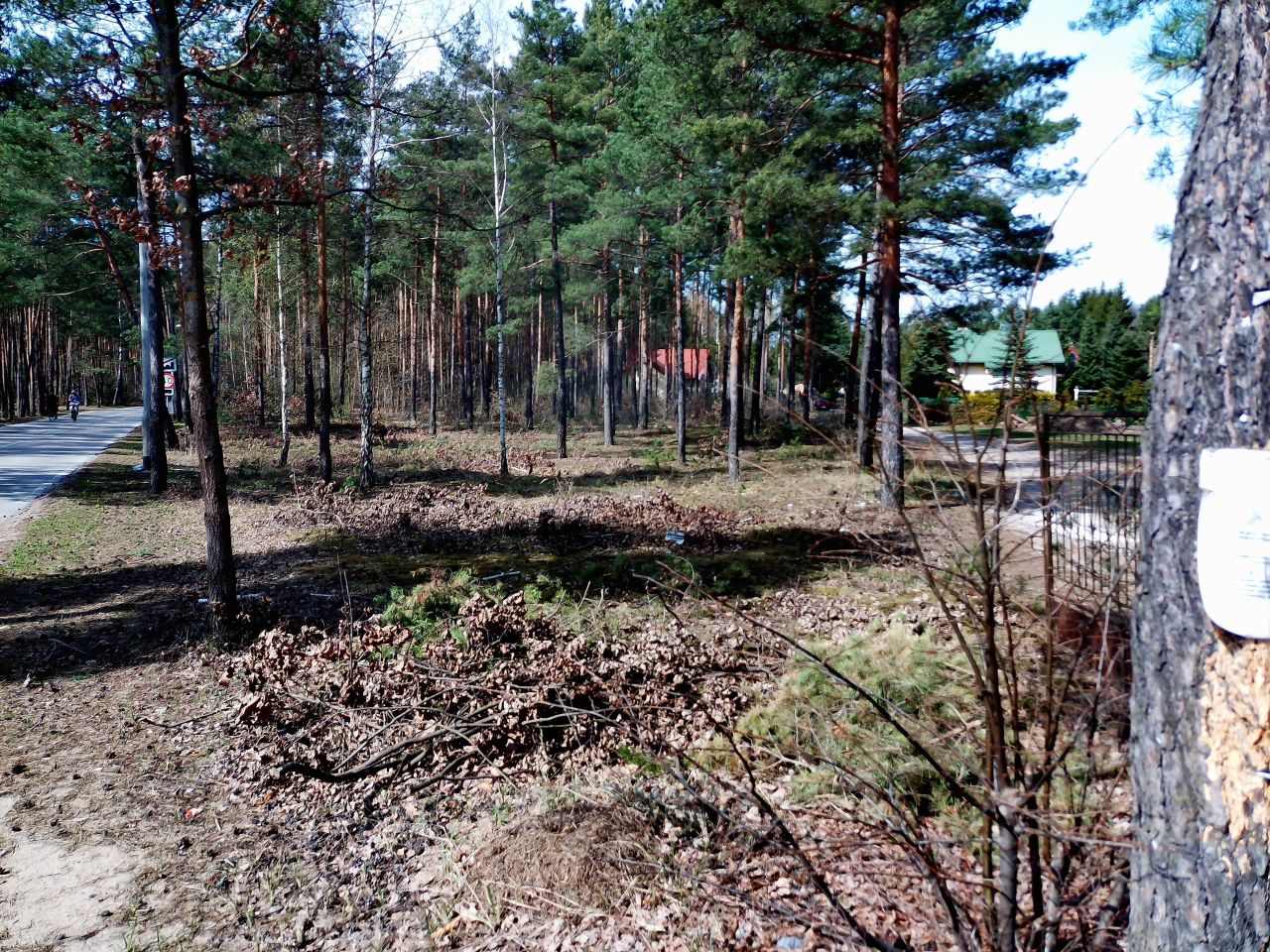 Działka budowlana Marynino, Sosnowa. Zdjęcie 41