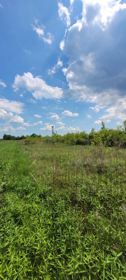 Działka rolno-budowlana Kamień. Zdjęcie 15