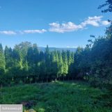 Działka rod Wiślica. Zdjęcie 2