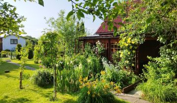 Działka rod Rumia Janowo, ul. Działkowców