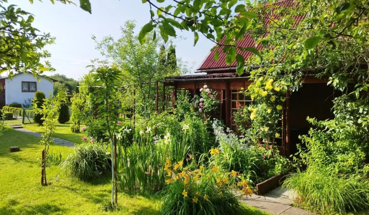 Działka rod Rumia Janowo, ul. Działkowców