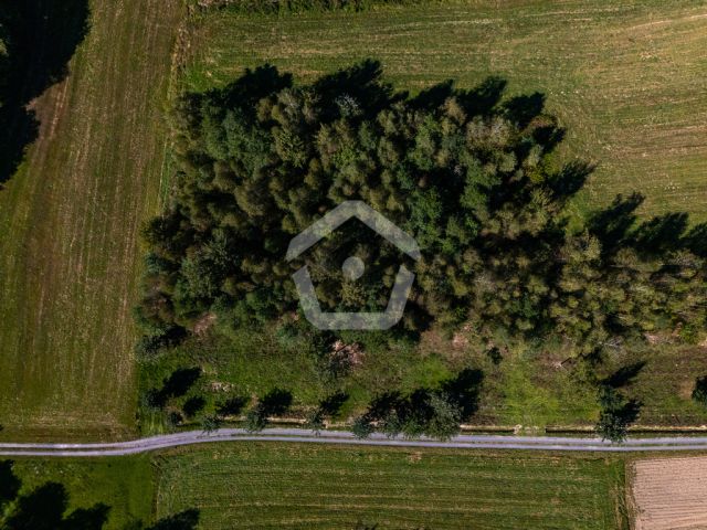 Działka budowlana Zagorzyce. Zdjęcie 7