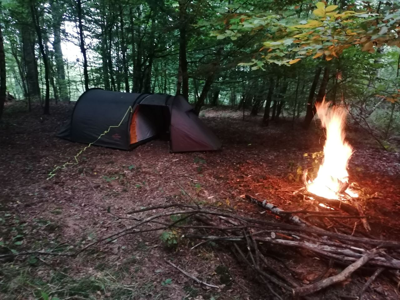 Działka leśna Brzezowa