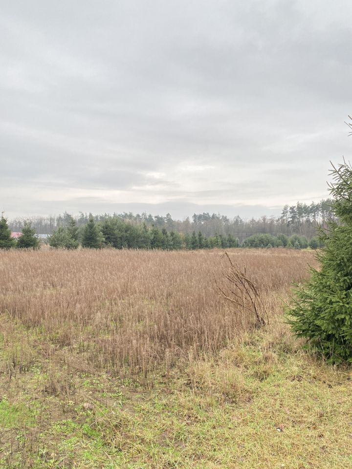 Działka siedliskowa Janów Ruszki. Zdjęcie 2