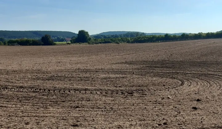 Działka budowlana Pszczew