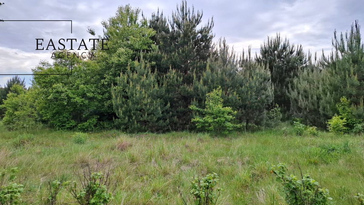 Działka inwestycyjna Myrcha. Zdjęcie 5