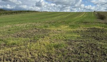 Działka rolna Ełdyty Małe