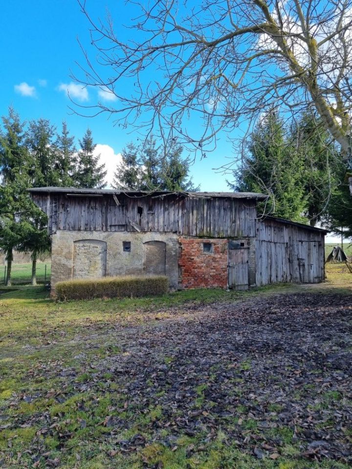 gospodarstwo Nawrocko. Zdjęcie 5