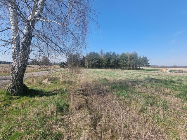 Działka rolno-budowlana Jarząbkowice. Zdjęcie 8