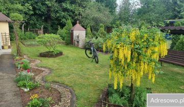 Działka rod Legnica, ul. Ogrodowa