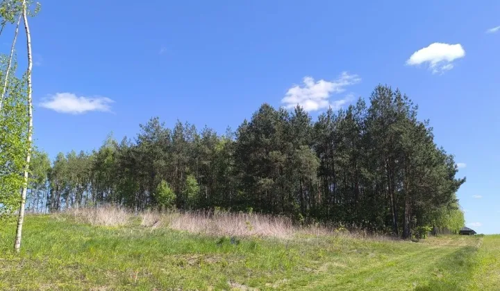 Działka budowlana Bogucin